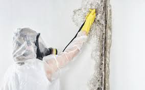 Mold Removal for HVAC Installations in Sherwood, OR